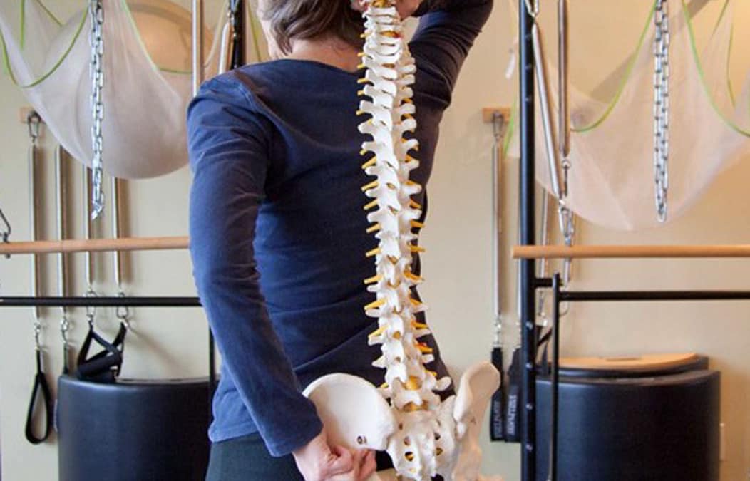 Breaking the Back Pain Cycle