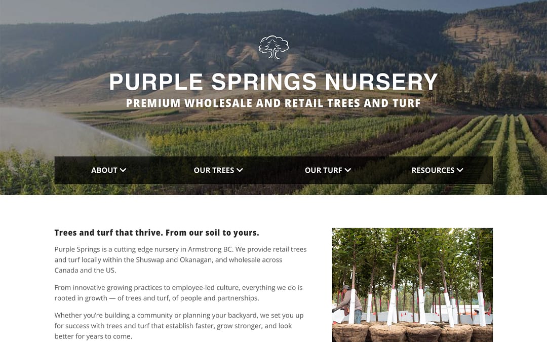 Purple Springs Nursery