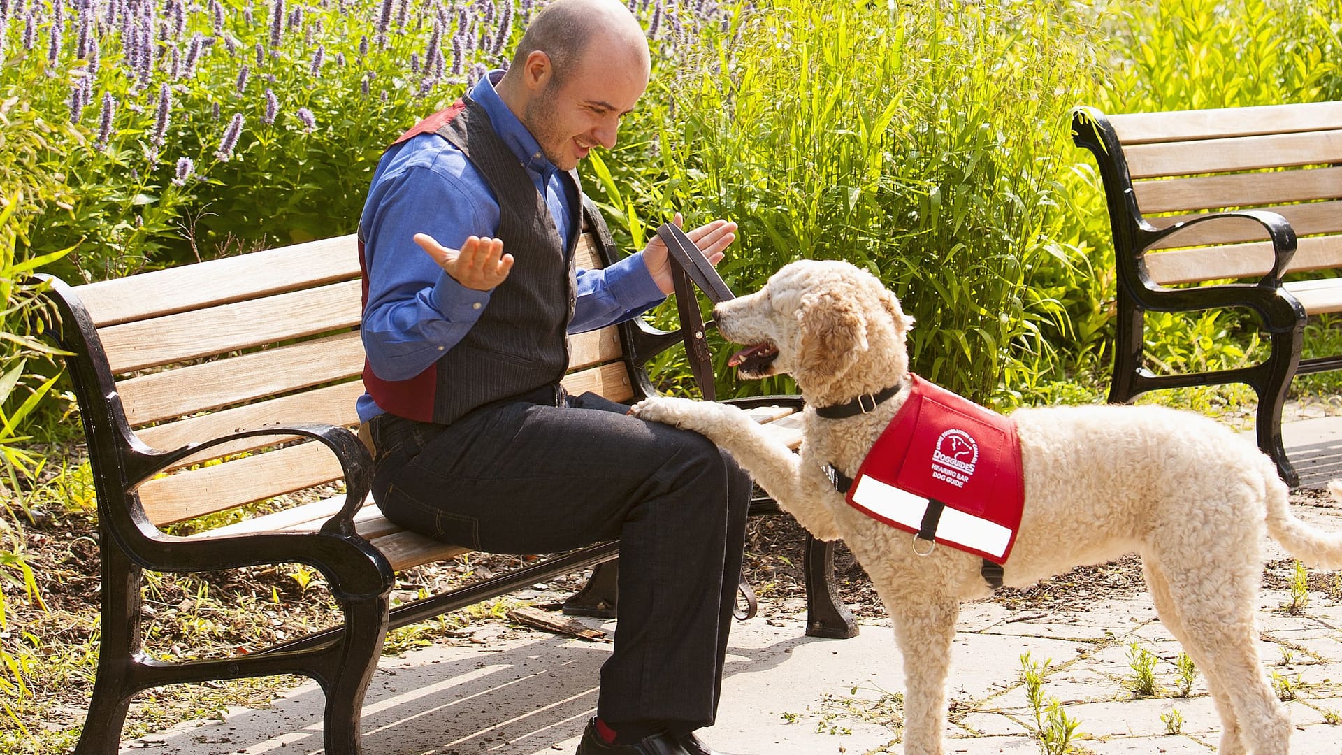 A Male client sits on a bench with his Hearing Dog Guide alerting him