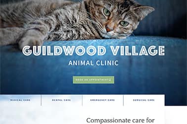 Guildwood Village Animal Clinic