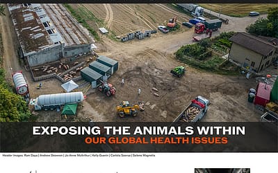 We Animals