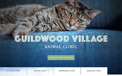 Guildwood Village Animal Clinic