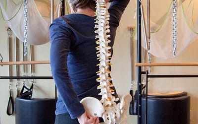 Breaking the Back Pain Cycle