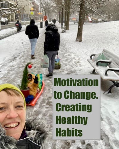 New Year’s Resolutions Healthy Habits hauling groceries