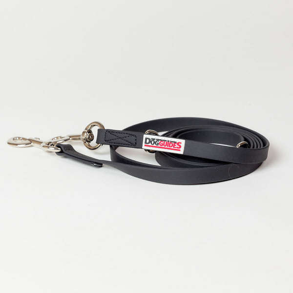 LFCDG Dog Leash