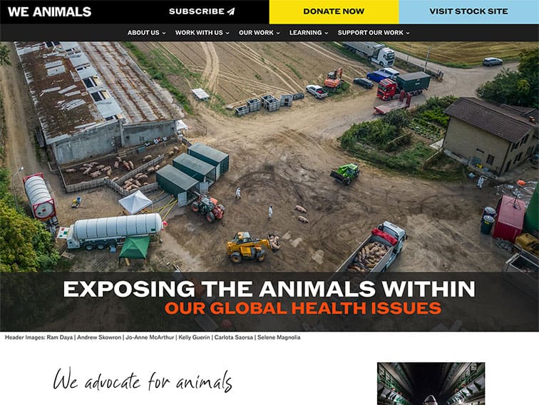 We Animals